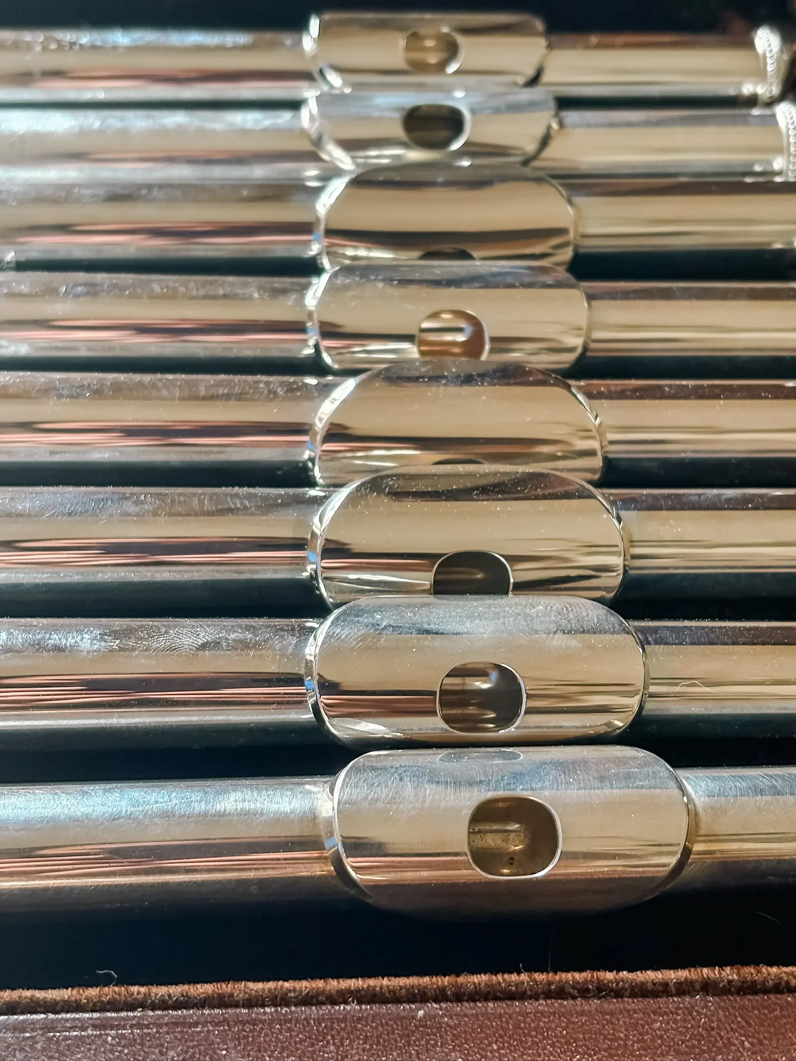 FOA HAMU — foto 115
